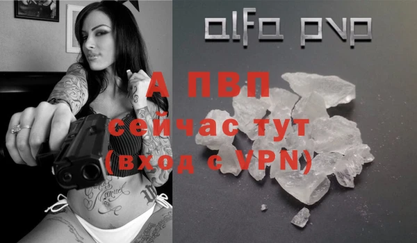 прущие крисы Беломорск
