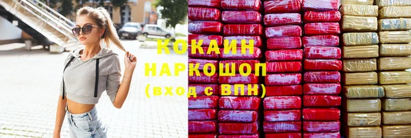 ECSTASY Богданович